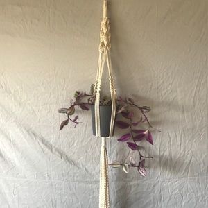 Macrame Plant Hanger